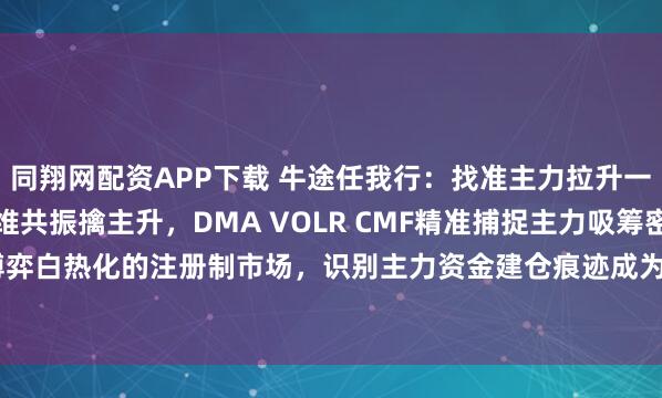 同翔网配资APP下载 牛途任我行：找准主力拉升一支股票的暴发密码，三维共振擒主升，DMA VOLR CMF精准捕捉主力吸筹密码在筹码博弈白热化的注册制市场，识别主力资金建仓痕迹成为战胜市场的关键。通过对2023年63...