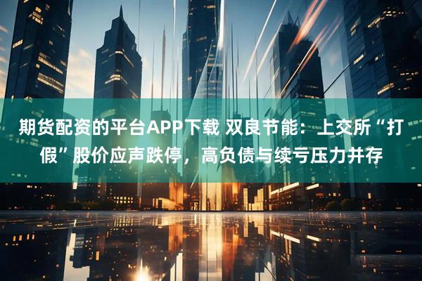 期货配资的平台APP下载 双良节能：上交所“打假”股价应声跌停，高负债与续亏压力并存